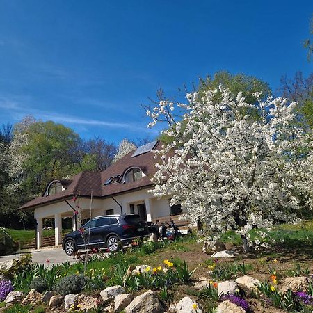 Provence Suceava Ξενοδοχείο Εξωτερικό φωτογραφία