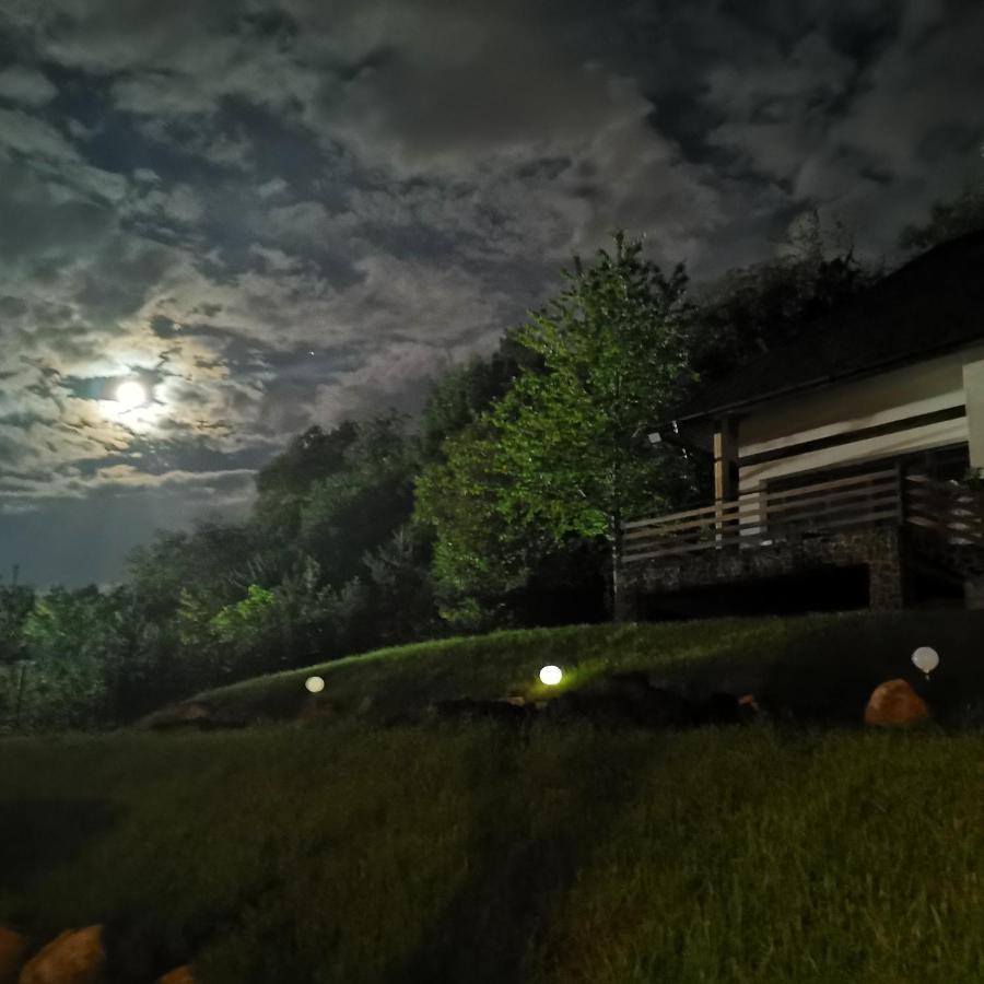 Provence Suceava Ξενοδοχείο Εξωτερικό φωτογραφία