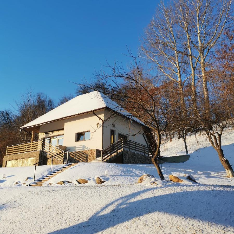 Provence Suceava Ξενοδοχείο Εξωτερικό φωτογραφία
