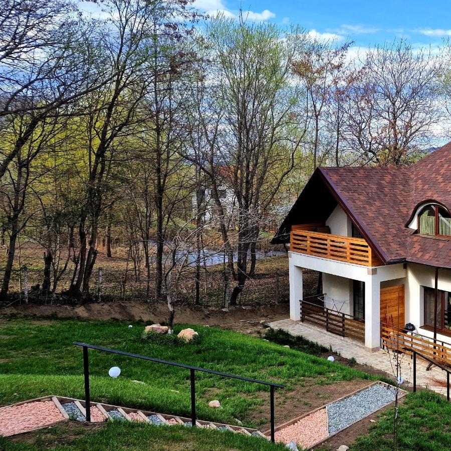 Provence Suceava Ξενοδοχείο Εξωτερικό φωτογραφία