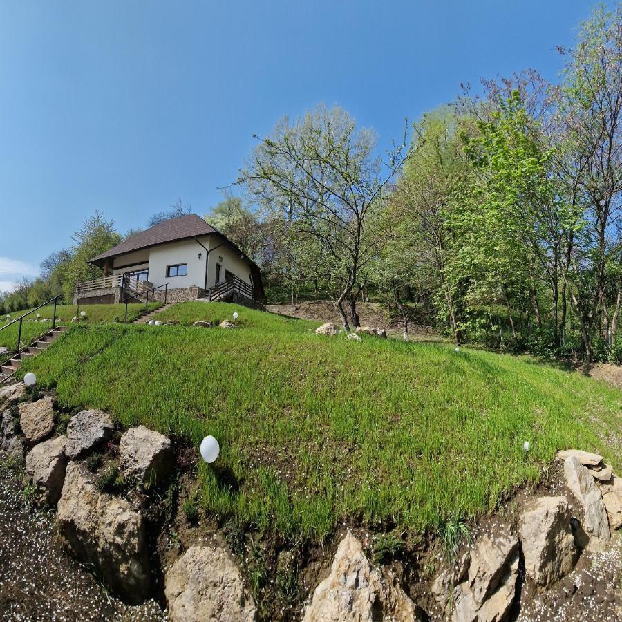 Provence Suceava Ξενοδοχείο Εξωτερικό φωτογραφία