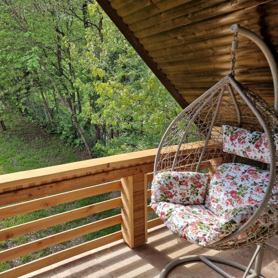 Provence Suceava Ξενοδοχείο Εξωτερικό φωτογραφία