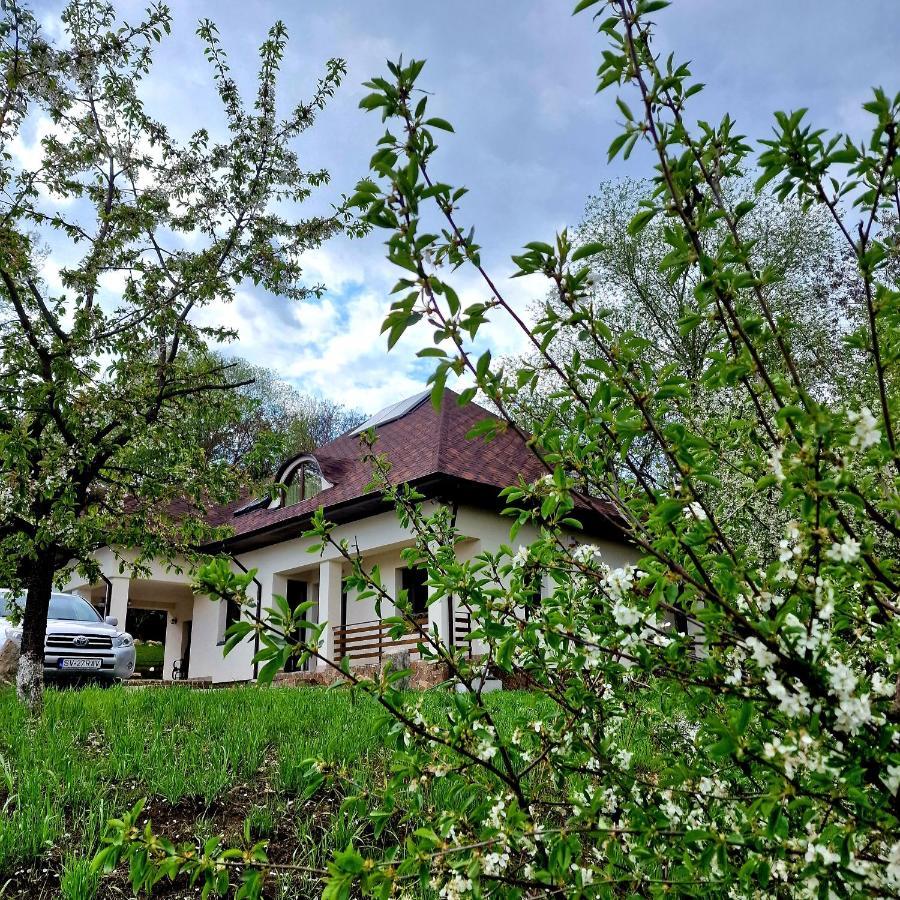 Provence Suceava Ξενοδοχείο Εξωτερικό φωτογραφία