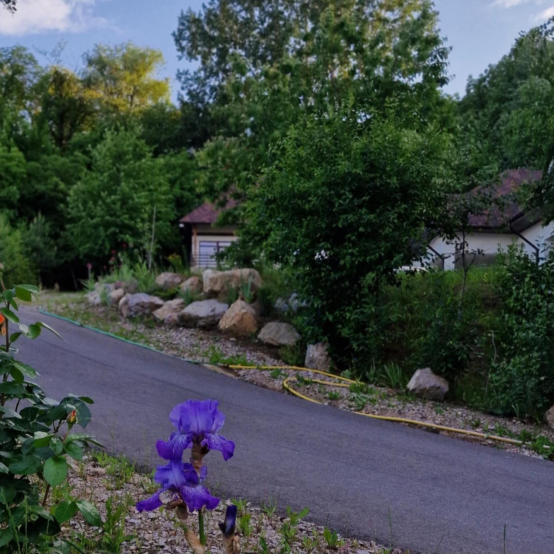 Provence Suceava Ξενοδοχείο Εξωτερικό φωτογραφία