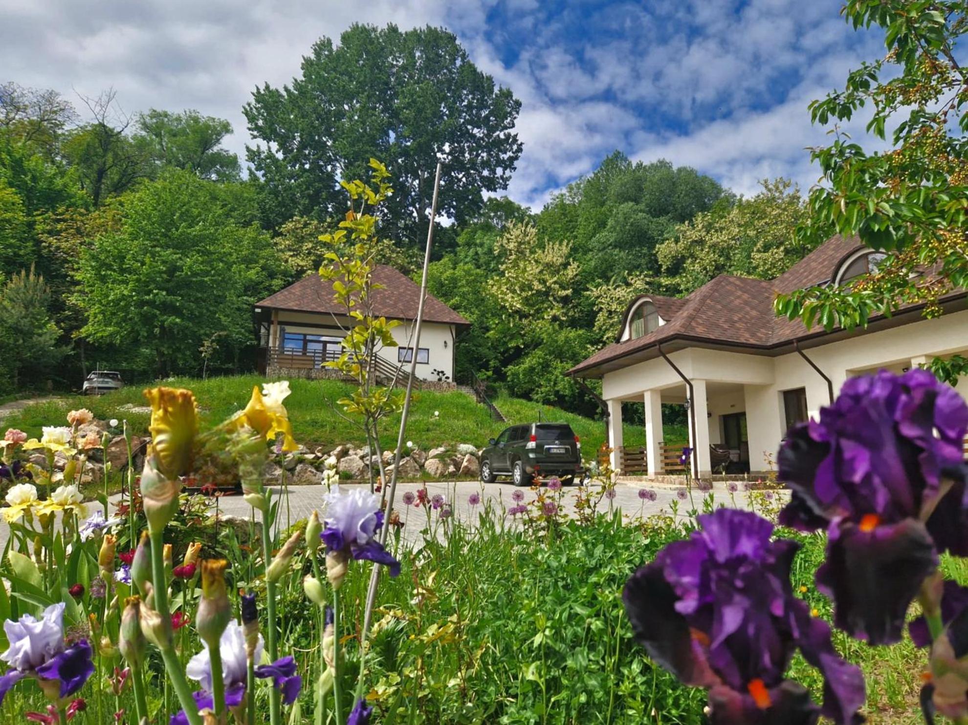 Provence Suceava Ξενοδοχείο Εξωτερικό φωτογραφία