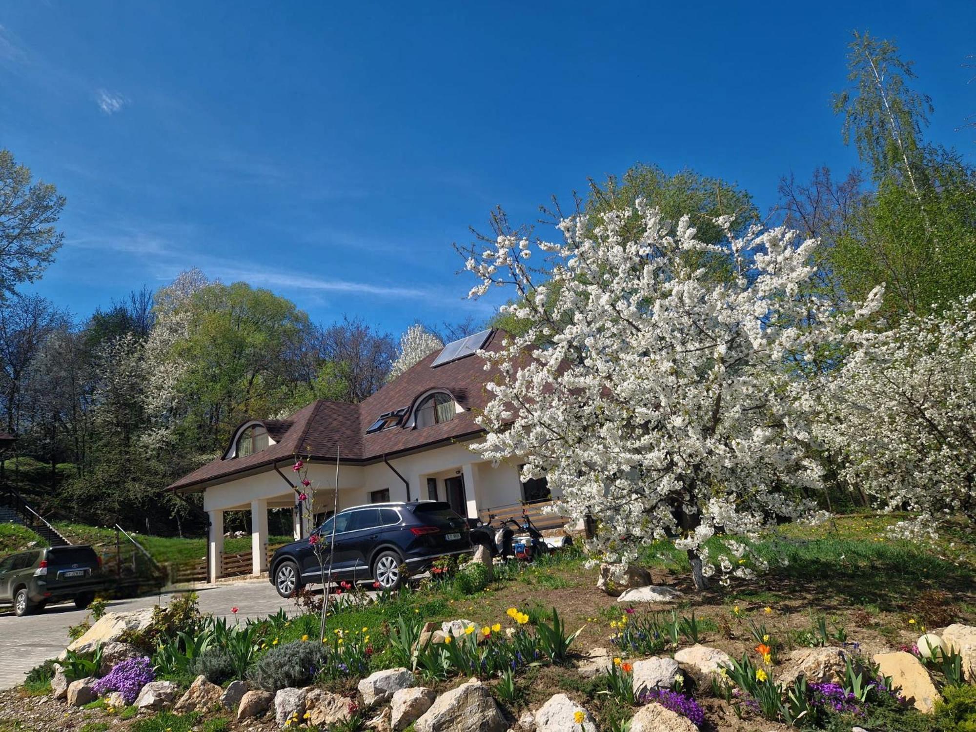Provence Suceava Ξενοδοχείο Εξωτερικό φωτογραφία